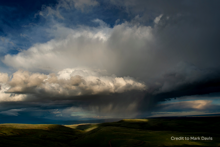 Volunteer Opportunities